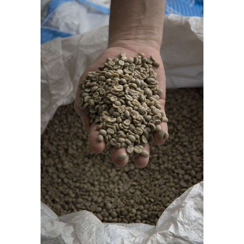 Dolce - Kawa Ziarno 1kg Goppion Caffe Goppion caffe - 1