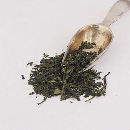 300.Japanese Sencha Kagoshima 50 ct - Green tea  PIAG The Fresh Tea Piag the fresh Tea - 1