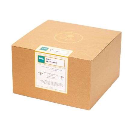 405. Mint La La Land 50ct -Green tea with mint PIAG The Fresh Tea Piag the fresh Tea - 4