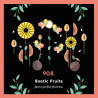 copy of 908. Exotic Fruits (100g) - perfect fruit composition - Piag The Fresh Tea Piag the fresh Tea - 1