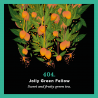 404. Jolly Green Fellow(250g) - green tea with mango - PIAG The Fresh Tea Piag the fresh Tea - 1