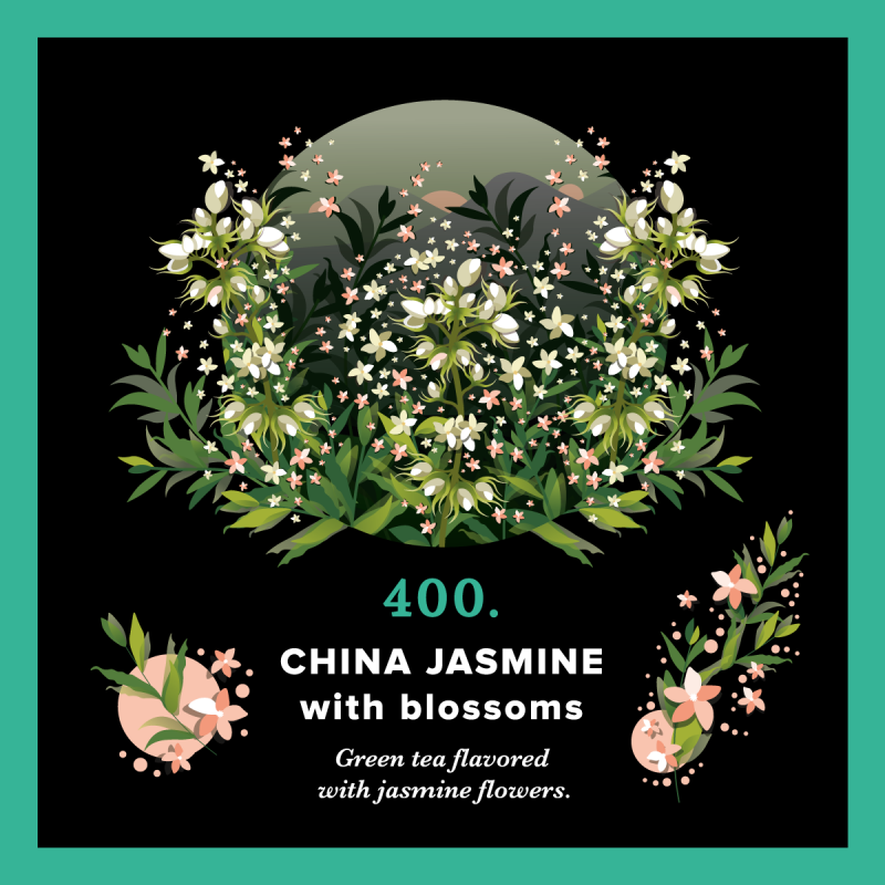400.China Jasmine With Bloosom(250g) PIAG The Fresh Tea Piag the fresh Tea - 1 400.China Jasmine With Bloosom(250g) PIAG The Fresh Tea Piag the fresh Tea - 1