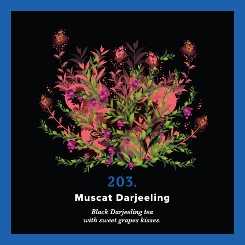 203.Muscat Darjeeling Piag Tea- 250 g torba Piag the fresh Tea - 1