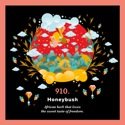 910.Honeybush Piag Tea- 250 g torba  CN:12119086 Piag the fresh Tea - 1