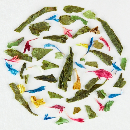 405.Mint La La Land Piag Tea- 10 g sample ( torebka) Piag the fresh Tea - 1
