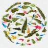 405.Mint La La Land Piag Tea- 10 g sample ( torebka) Piag the fresh Tea - 1