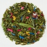 405.Mint La La Land Piag Tea- 50 g depozyt ( uzupełnienie puszki - torebka) Piag the fresh Tea - 2