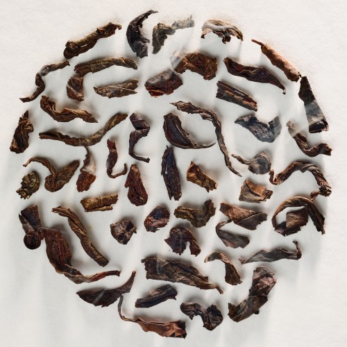 219. LAPSANG SOUCHONG WUYI