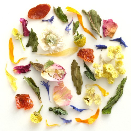 915. Bella Figura - zdjęcie 2