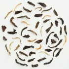 PIAG próbka- 220.Black Magic Jasmine 10g